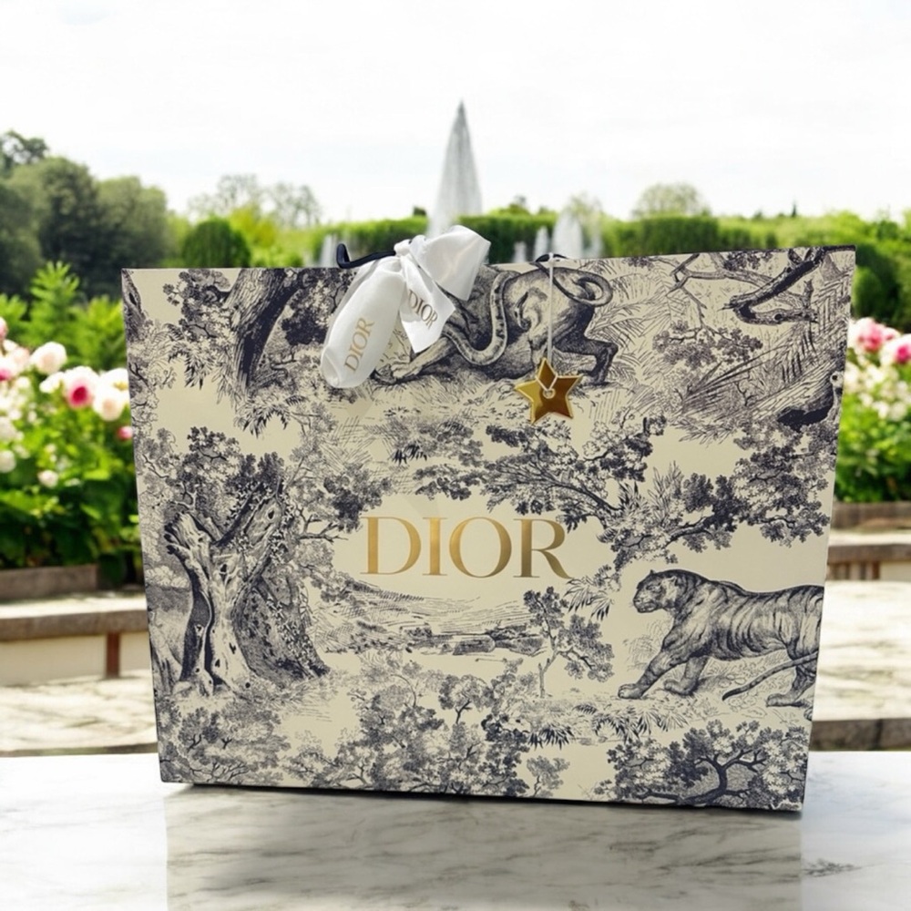 Medium Dior Beige and Gray Book Tote (Dust bag and Paper bag included) - Picture 5 of 5